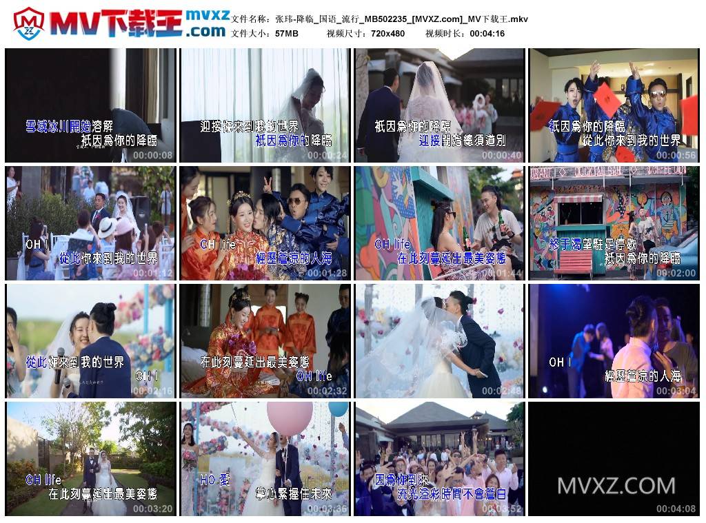 张玮-降临_国语_流行_MB502235